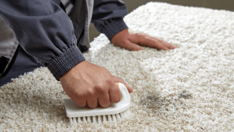 Professional Rug Cleaning Geelong