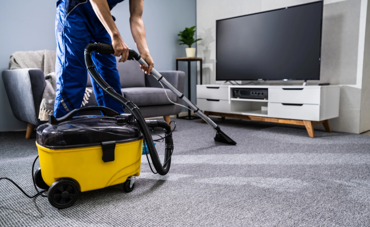 Extract Rug Cleaning Geelong Contact Office
